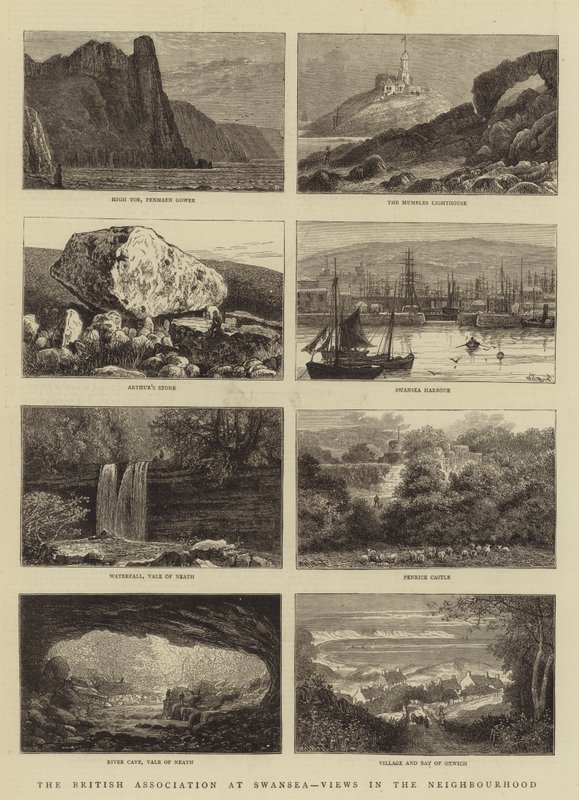 British Association at Swansea, Näkymät naapurustossa tekijältä William Henry James Boot