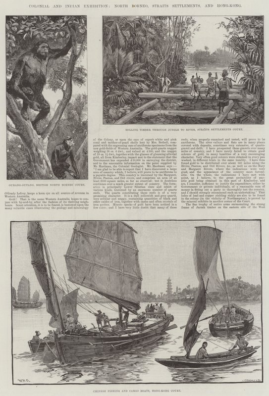 Siirtomaa- ja intiaaninäyttely, North Borneo, Straits Settlements ja Hong-Kong tekijältä William Heysham Overend