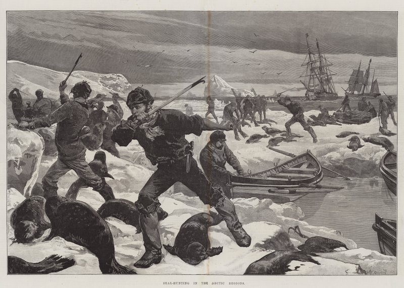 Hylkeenmetsästys arktisilla alueilla tekijältä William Heysham Overend
