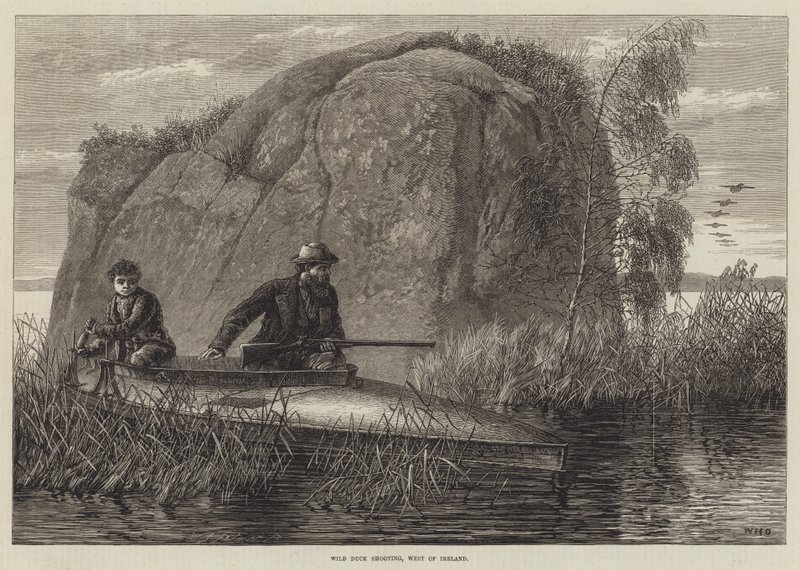 Wild Duck Shooting, Länsi-Irlannin kaiverrus tekijältä William Heysham Overend