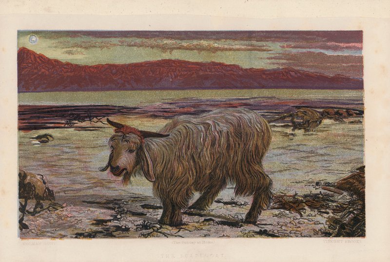 Syntipukki (värilitografia) tekijältä William Holman (after) Hunt