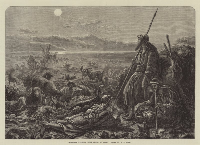 Paimenet tarkkailevat laumaansa yöllä tekijältä William J. Webbe or Webb
