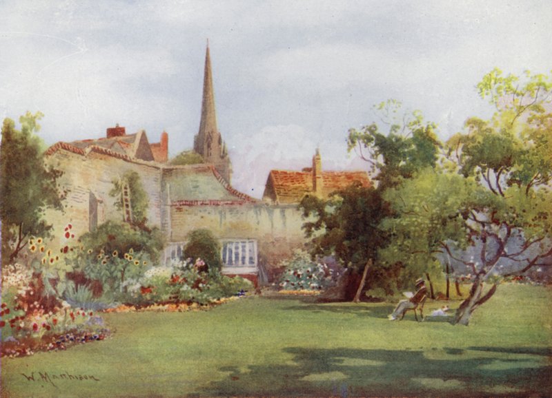Miltons Mulberry Tree Fellows Gardenissa, Christs Collegessa tekijältä William Matthison