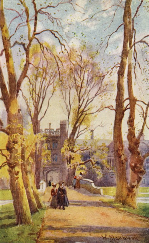 Trinity College Bridge and Avenue, jonka portti johtaa New Courtiin tekijältä William Matthison