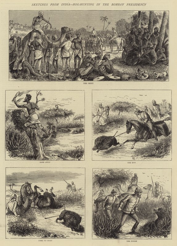 Luonnoksia Intiasta, Hog-Hunting Bombayn presidenttikaudella tekijältä William Ralston