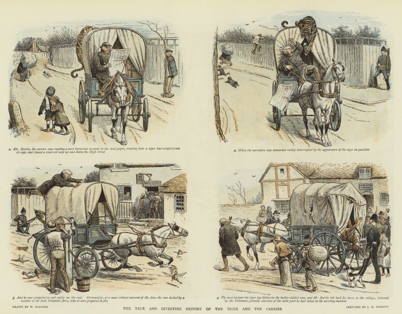 Tiikerin ja kantajan todellinen ja kääntävä historia (chromolitho) tekijältä William Ralston