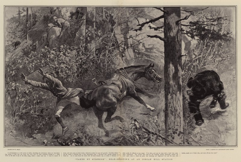 Kuvannut Yllätys, Bear-Shooting Indian Hill -asemalla tekijältä William Small