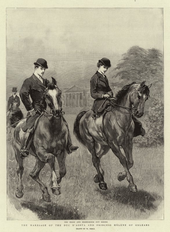 Duc D