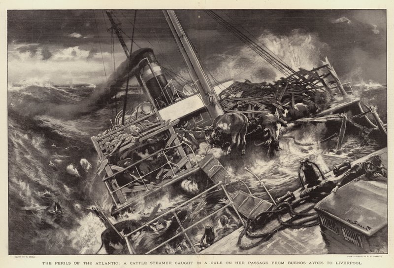 The Perils of the Atlantic, karjahöyrylaiva, joka joutui kuoliaaksi hänen matkallaan Buenos Ayresista Liverpooliin tekijältä William Small