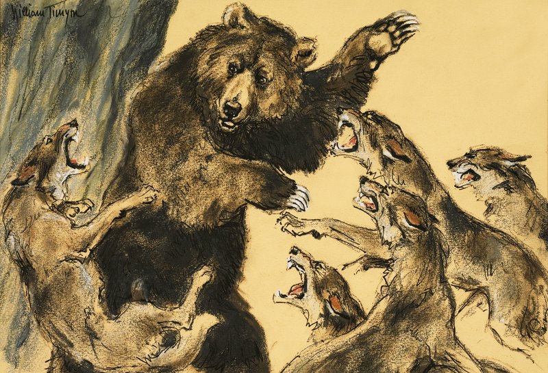 Karhu taistelee susia vastaan tekijältä William Timyn