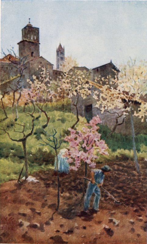 Siena. Seinien alla (väri litho) tekijältä William Wiehe Collins