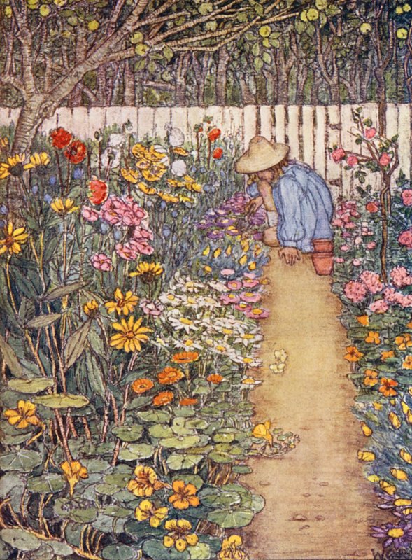 Lasten puutarhanhoitokirja: A Herbaceous Border (väri litografia). tekijältä Winifred Cayley Robinson