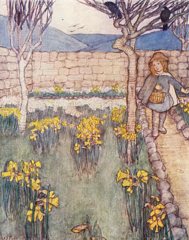 Lasten puutarhanhoitokirja: Narsissit (värilitro) tekijältä Winifred Cayley Robinson
