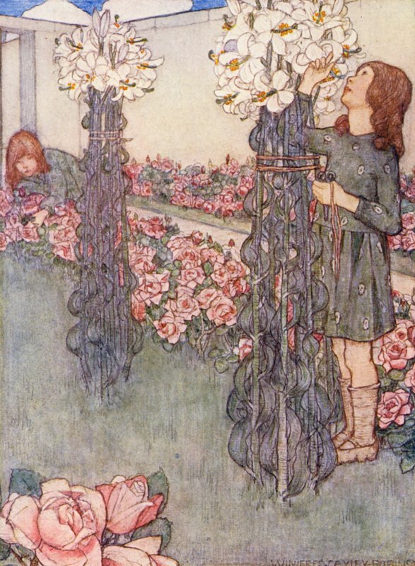 Lasten puutarhanhoitokirja: Liljat ja ruusut (väri litografia). tekijältä Winifred Cayley Robinson
