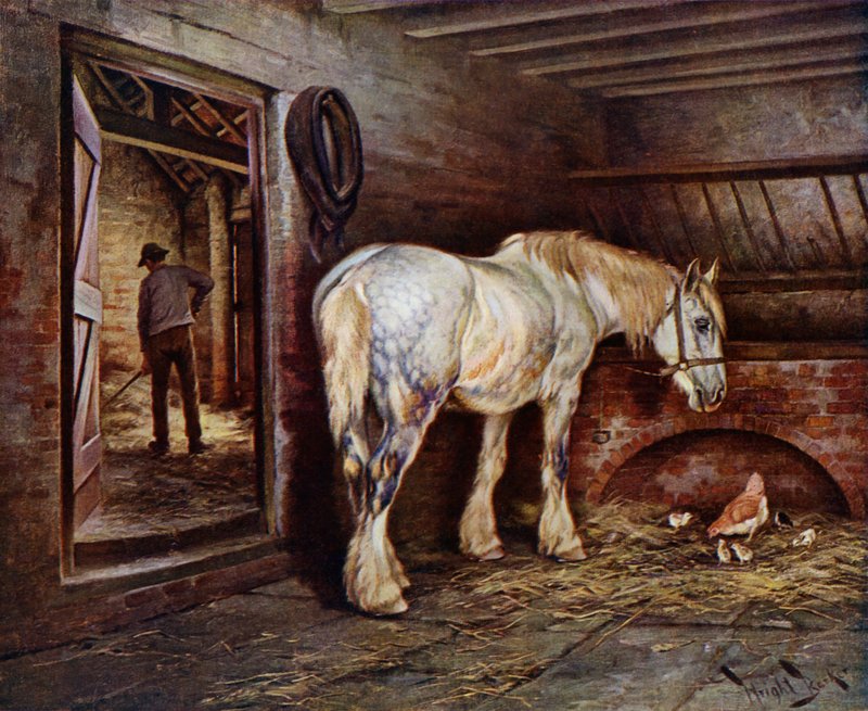 Päivän päätteeksi: hevonen tallissa, kun mies ryntää ulos (väri litho) tekijältä Wright Barker