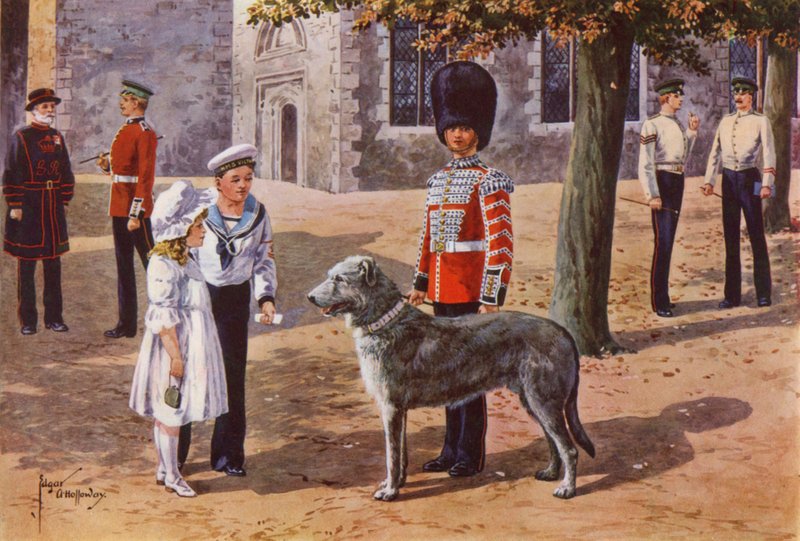 Irlanninkaartin lemmikkisusikoira Lontoon Towerissa tekijältä after Edgar Alfred Holloway