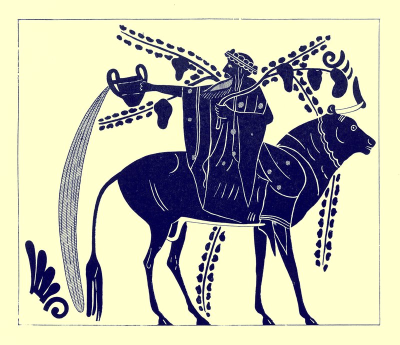 Dionysos ratsastaa härällä, kuvitus J. E. Harrisonin ja D. S. MacCollin kreikkalaisesta maljamaalauksesta, julkaistu 1894 (digitaalisesti paranneltu kuva) tekijältä after English School