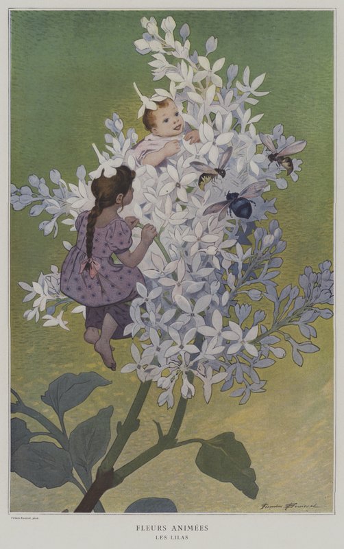 Fleures Animees. Les Lilas. (Animoidut kukat: Lilacs) tekijältä after Firmin Bouisset