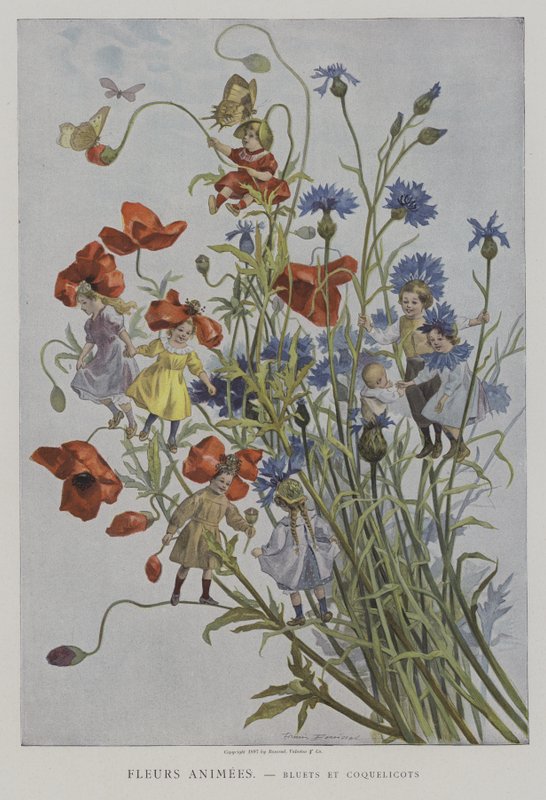Fleurs Animees. Bleuets et Coquelicots. (Animoidut kukat: ruiskukat ja unikot) tekijältä after Firmin Bouisset