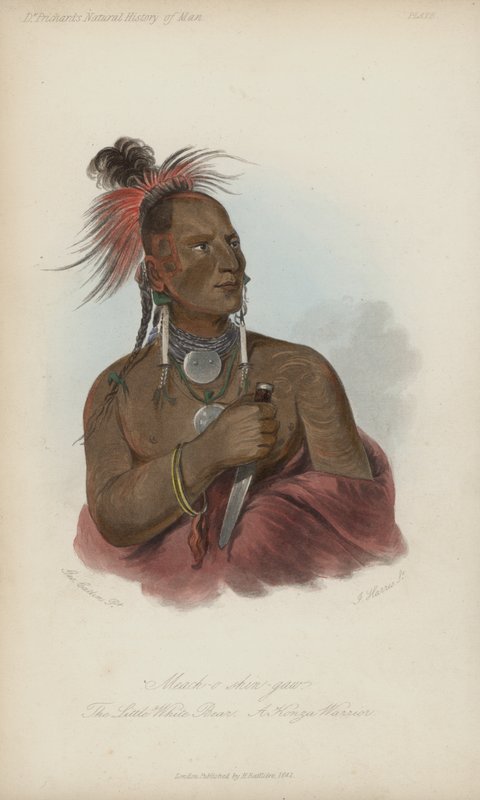 Meach-o shin-gaw, Pieni valkoinen karhu, Konza Warrior (akvatinta) tekijältä after George Catlin