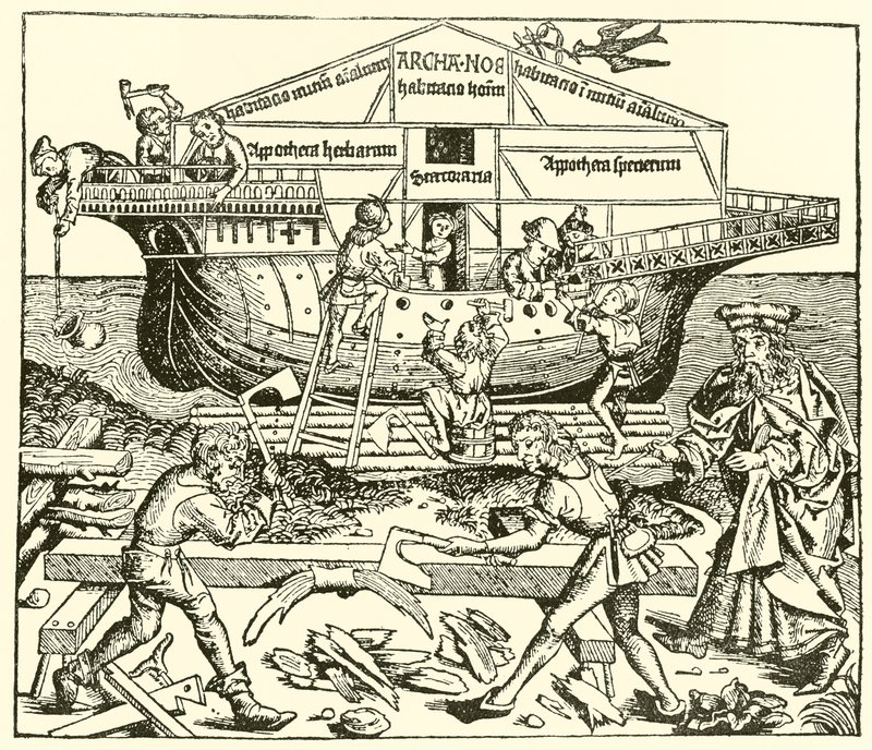 Nooan johtama arkin rakennus tekijältä after German School