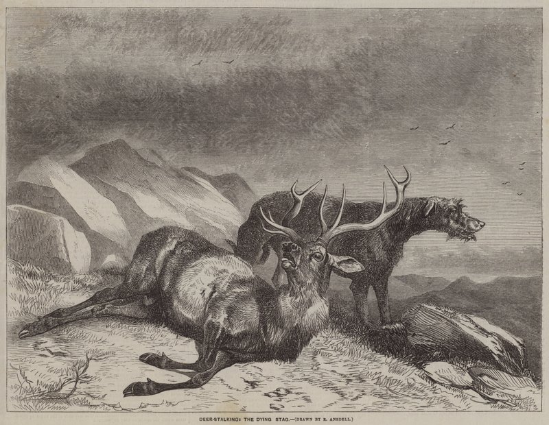 Deer-Stalking, Dying Stag tekijältä after Richard Ansdell