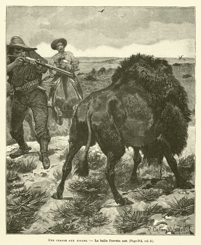 Buffalon metsästys tekijältä after Richard Caton II Woodville
