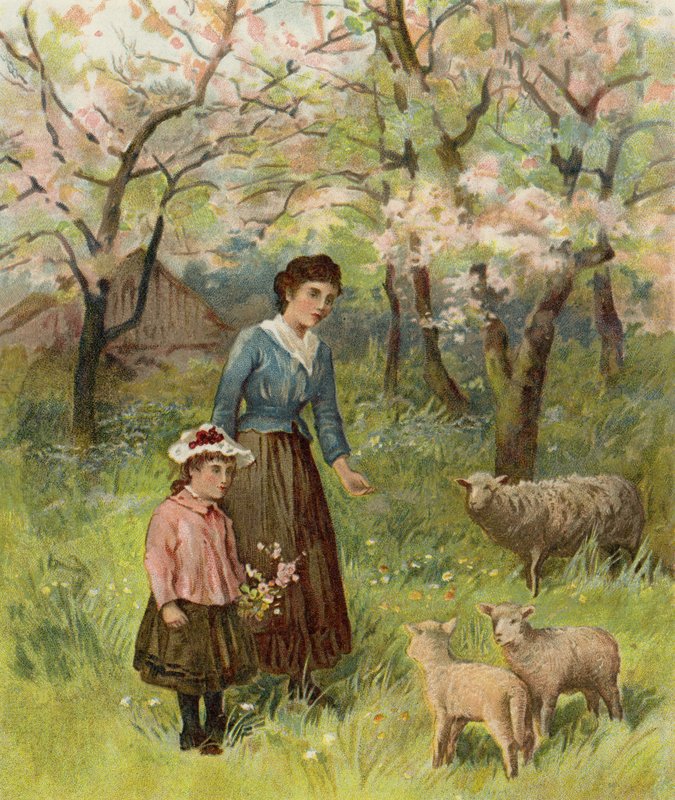 Apple Blossoms tekijältä after William Henry James Boot