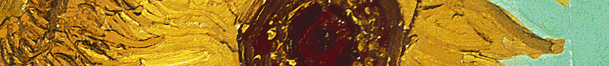 Auringonkukat (Vincent van Gogh), Detail: Dunkle Blütenmitte rechts