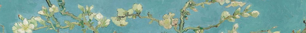 Mantelin kukka (Vincent van Gogh)
