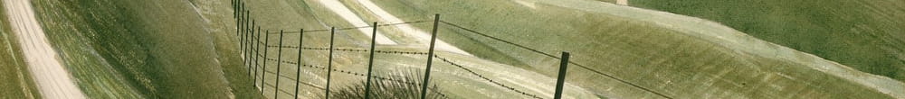 Liitu polkuja (Eric Ravilious)