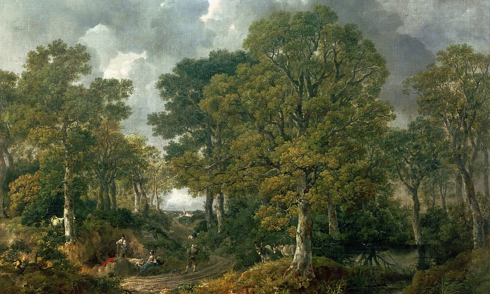 Metsä ja puut