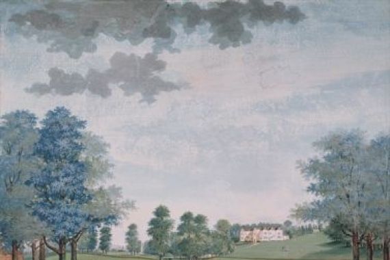 Adam Callander