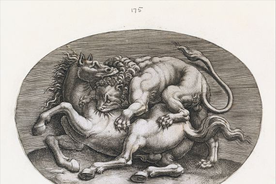 Adamo Scultori