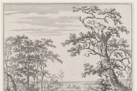 Adriaen Hendricks Verboom