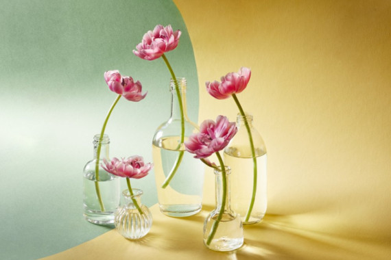 Alena