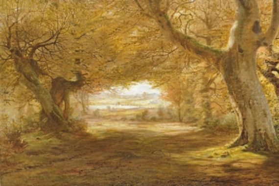 Andrew McCallum