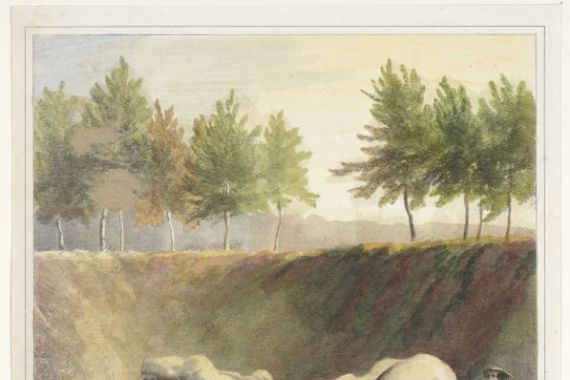 Anthonius Brouwer