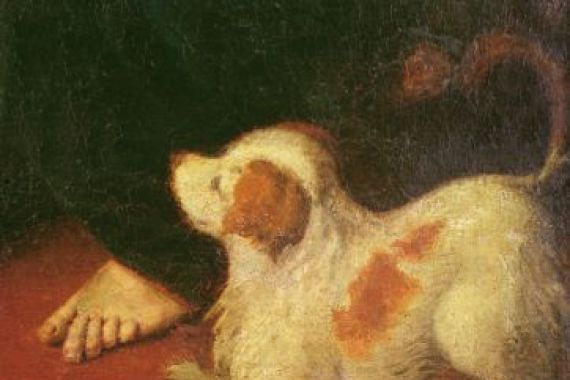 Antonio Campi