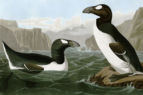 Bird Artist of America. John James Audubon