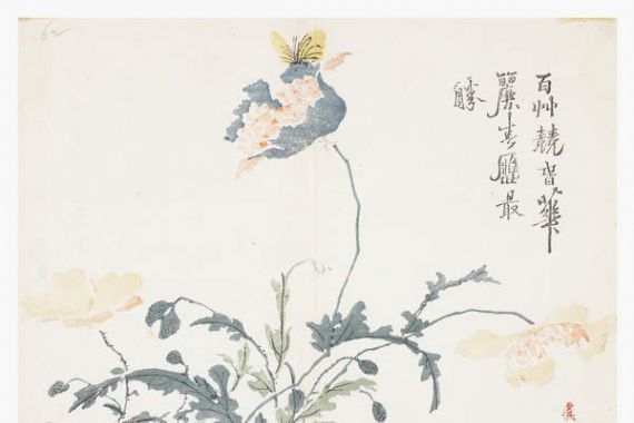 Chao Siue yen (after)