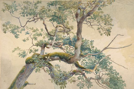 Charles Reginald Aston
