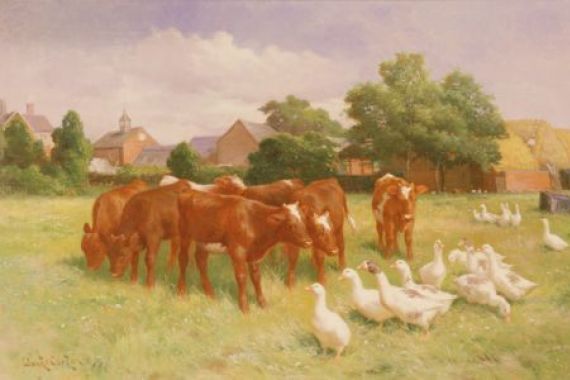 Claude Cardon