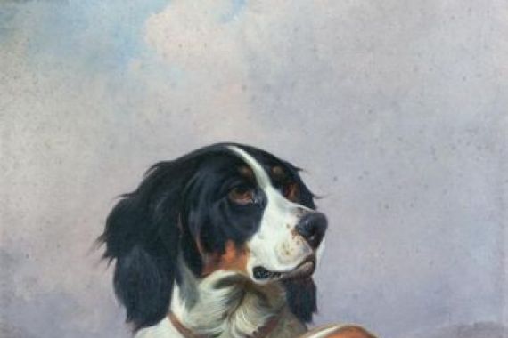 Colin Graeme