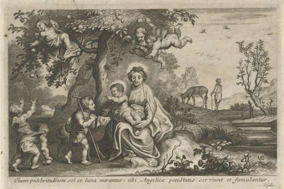 Cornelis Galle (II)
