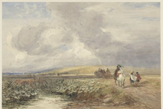 David Cox (I)