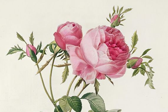 Eustache Hyacinthe Langlois