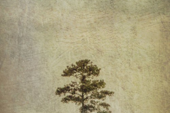 Evgenii Novichikhin