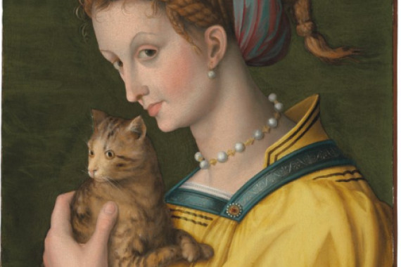 Francesco Ubertini Verdi Bachiacca