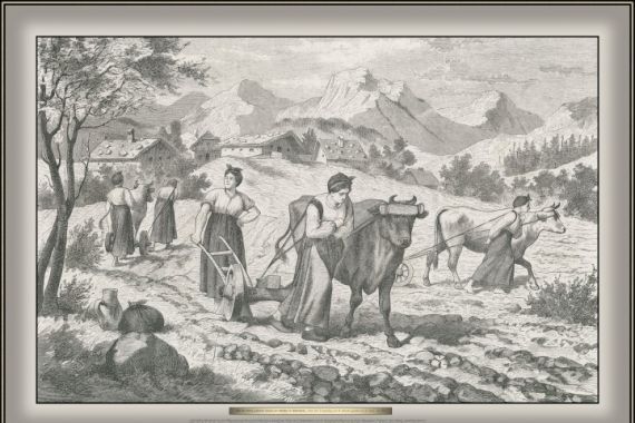 G. Arnould